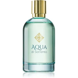 DIAMOND INTERNATIONAL Aqua di Sorrento Posillipo Eau de Parfum mixte 100 mlVendu paronebioshop