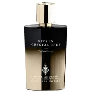 Simone Andreoli Kite in Crystal Reef Parfum Nectar Parfum 1000 ml pas cher