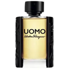 Uomo Salvatore Ferragamo eau de toilette vaporisateur 100 ml pas cher