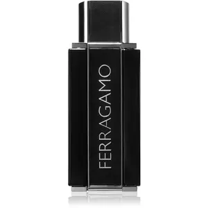 Ferragamo Sublime Leather Eau de Parfum pour homme 100 ml pas cher