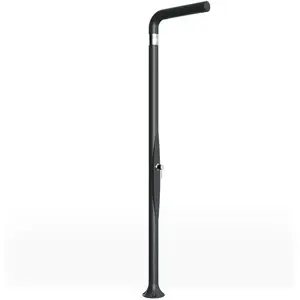 Arkema Design Douche extérieure Funny Yang T205 - Anthracite pas cher