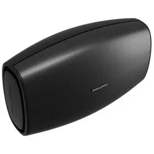 Enceintes d'extérieur Sonus Faber Aster Noir pas cher