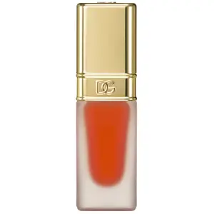 Comparateur de prix : Dolce&Gabbana Oil Lip Plumper Huile à lèvres 10 ml