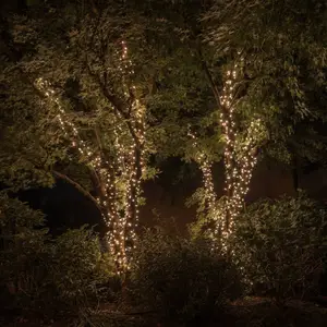 Guirlande lumineuse Twinkly RGBW, 250-fl. 20m noir pas cher