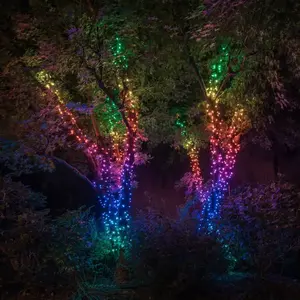 Comparateur de prix : Ruban LED TWINKLY Guirlande sapin Connectée RGB 100 LED TU