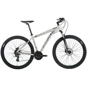 Lupo Vtt Raptor New Age 1 27.5´´ 47Vendu parbikeinn