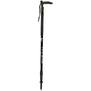 Fizan Paire de bâtons de marche classiques Noir Taille uniqueVendu parsnowleader