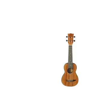 Eko Duo - Ukulélé acoustique - acajou satiné - avec boîtier pas cher