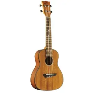 Comparateur de prix : Eko Eko Duo-Concerto - Ukulele Concerto (+ Housse Et Accessoires)