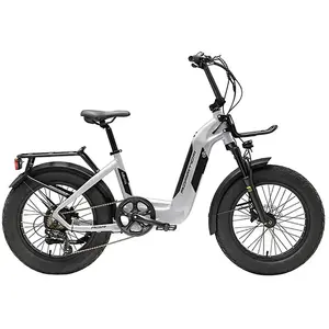 Adriatica Vélo électrique Pliant Rooster 20´´ One Size