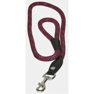 Laisse pour chien Canter Corde TU pas cher