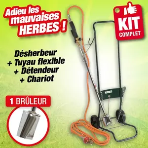 Ribimex Kit de desherbage thermique pas cher