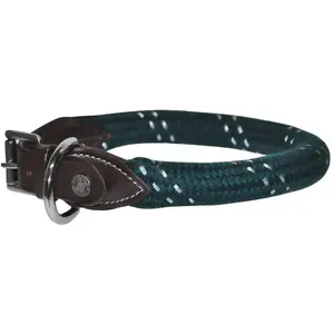Collier pour chien Canter Corde TU pas cher