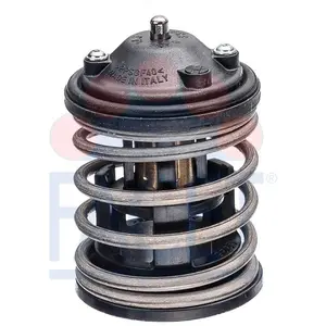 Comparateur de prix : Thermostat, liqiuide de refroidissement Made in Italy - OE Equivalent 7.8762 Facet 7.8762