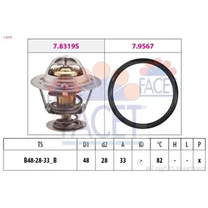 Facet 7.8319 Thermostat d'eau pas cher