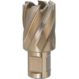FERVI Foret a carotter avec fixation weldon diametre 17 mm pas cher