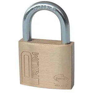 Cadenas Prium Corbin Laiton Chromé Clés Archées 2 mm 70 x 4 pcs. pas cher