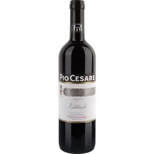 Pio Cesare Langhe Nebbiolo 2021 0.75 l pas cher