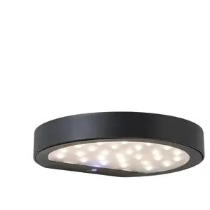 ROSSINI ILLUMINAZIONE Applique murale led solaire Nap anthracite 2,2w à piles IP54 pas cher