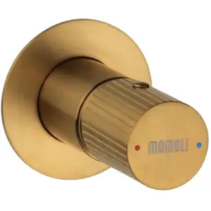 Mitigeur de douche à encastrer 1 sortie couleur laiton brossé Mamoli Tuttodunpezzo 37300000002G Laiton brossé pas cher