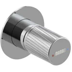 Mamoli Tuttodunpezzo Mitigeur de douche monocommande pour 1 sortie, PACK avec corps d’encastrement, 373000000021, pas cher