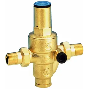 JETLY Caleffi - Réducteur de pression R5360 - Réf. fab. : R536033 - Diam. : ... pas cher
