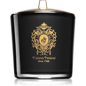 Tiziana Terenzi Ecstasy bougie parfumée avec mèche en bois 500 g pas cher