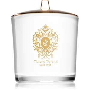 Tiziana Terenzi Spicy Snow bougie parfumée avec mèche en bois 500 g