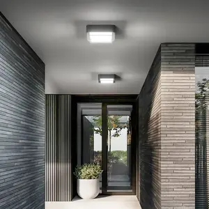 FABAS LUCE Diuk Plafonnier, LED, 6548-61-294,