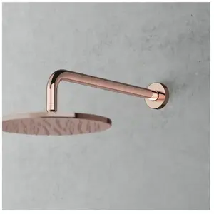 Mariner Bras de douche en métal pour montage mural, WLS3130-RG, pas cher