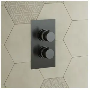 Mariner Robinetterie thermostatique encastrée, avec corps encastré, TER5030-GM, pas cher
