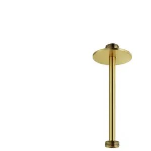 Mariner Bras de douche en Acier inoxydable pour montage au plafond, WL...Vendu parreuter