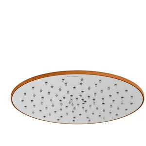 Mariner Lamborghini Spectra Douche de tête plate en acier inoxydable, WLS9905-INFBTL,Vendu parreuter