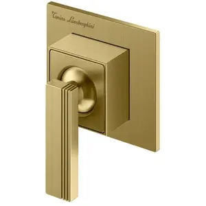 Mariner Lamborghini Raptor Mitigeur de douche/de lavabo en acier inoxydable, pour corps d’encastrement, RAP1111-POB, pas cher