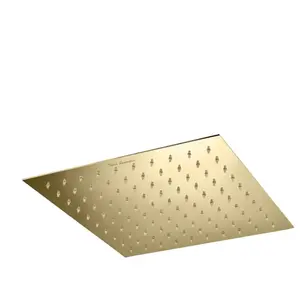 Mariner Lamborghini Douche de tête extra plate en acier inoxydable, WLS3115-OSTL, pas cher