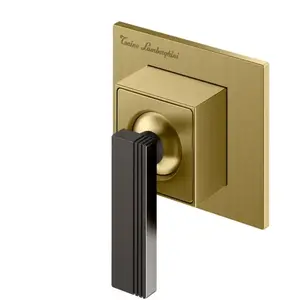 Mariner Lamborghini Raptor Mitigeur de douche/de lavabo en acier inoxydable, pour corps d’encastrement, RAP1111-POBPGM,