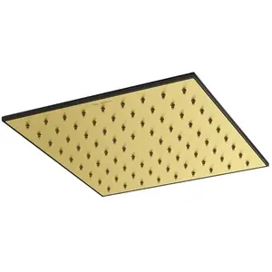 Mariner Lamborghini Douche de tête en acier inoxydable, WLS9904-POBPGMTL, pas cher