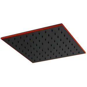 Mariner Lamborghini Douche de tête en acier inoxydable, WLS9904-NOFLTL, pas cher