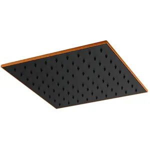 Mariner Lamborghini Douche de tête en acier inoxydable, WLS9904-NOFBTL, pas cher