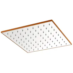 Mariner Lamborghini Douche de tête en acier inoxydable, WLS9904-BOFBTL,Vendu parreuter