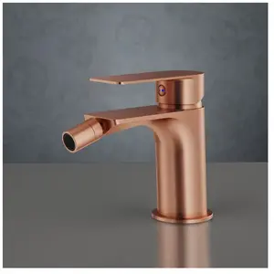 Mariner Arya Mitigeur de bidet, ARY0063-RS, pas cher
