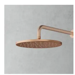 Mariner Douche de tête en acier inoxydable, ronde Ø 305 mm, WLS3190-RS, pas cher