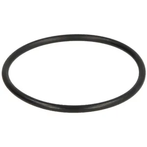 Watts - Joint torique 2,5 mm pour pot à filtre fioul 22L0199020 pas cher