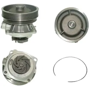 Saleri PA732P POMPE A EAU SALERI pas cher