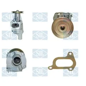 Saleri PA693P POMPE A EAU SALERI pas cher
