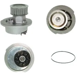 Saleri PA707P POMPE A EAU SALERI pas cher