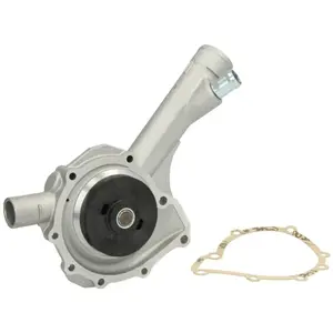 Saleri PA715 POMPE A EAU SALERI pas cher
