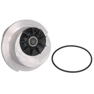 Saleri PA437P POMPE A EAU SALERI pas cher