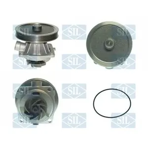Saleri SIL PA855 Pompe à eau pas cher