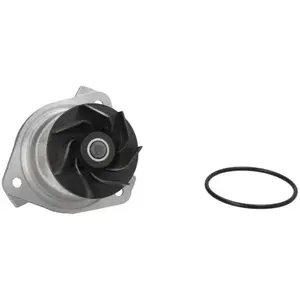 Saleri PA1232 POMPE A EAU SALERI pas cher